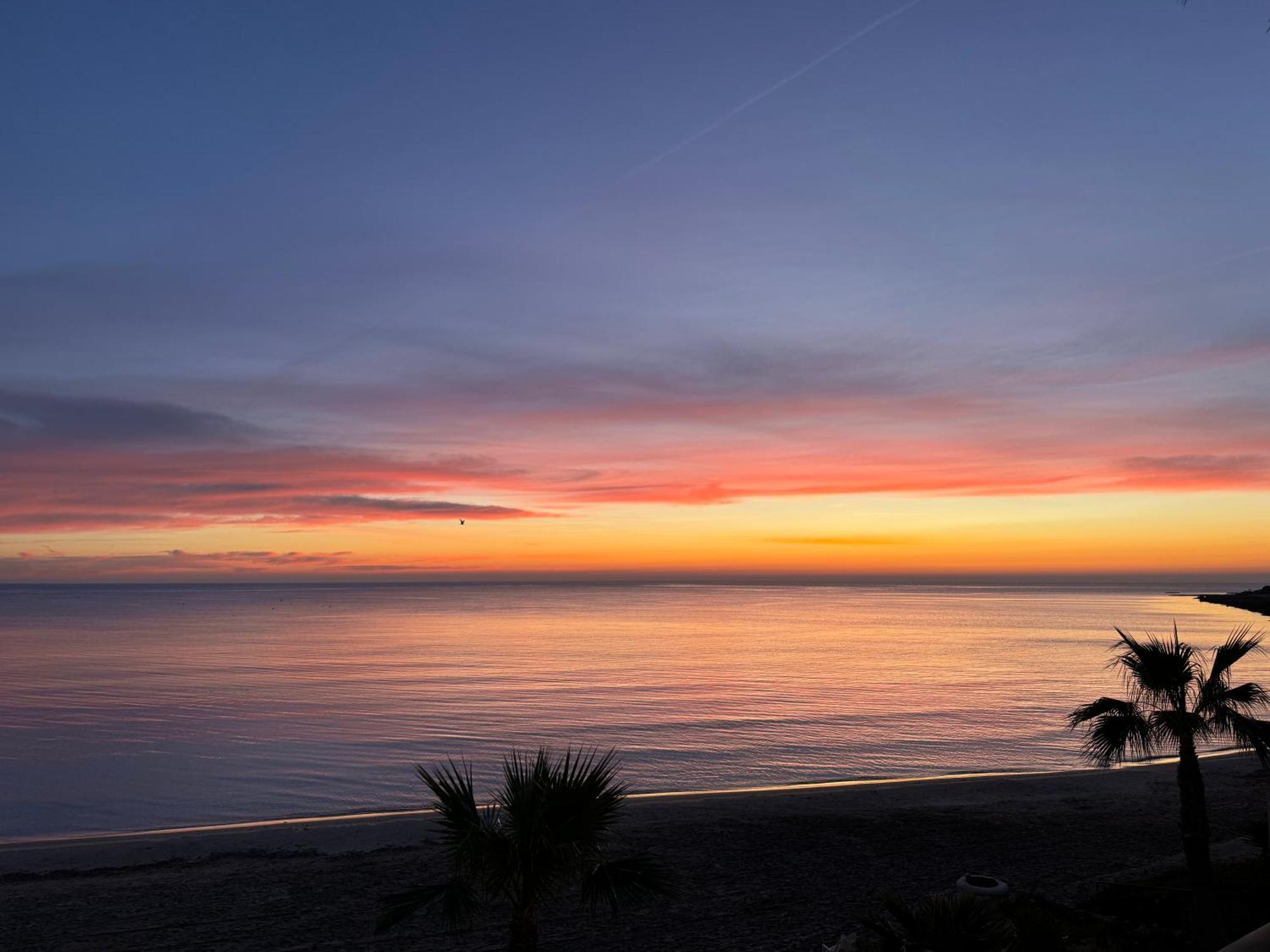 Excepcional Apartamento Loft A Pie De Playa En Chalet Roquetes Alicante Exteriör bild