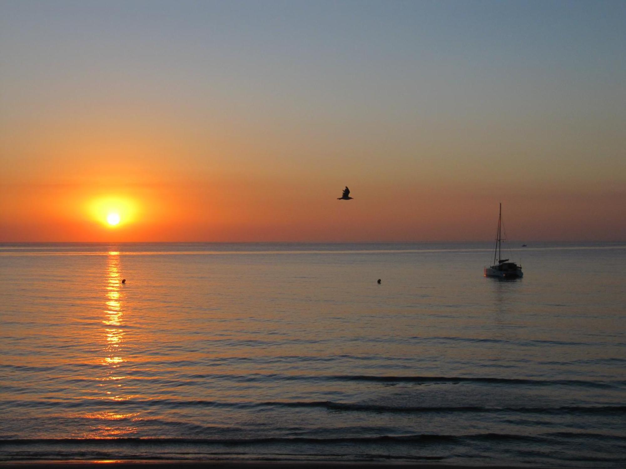 Excepcional Apartamento Loft A Pie De Playa En Chalet Roquetes Alicante Exteriör bild
